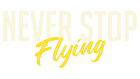 Never Stop Flying